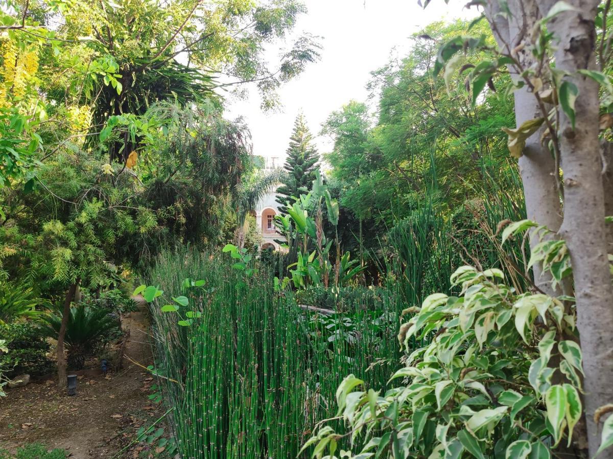 Bed and Breakfast Babil Bahceleri - Gardens Of Babel Лапитос Экстерьер фото