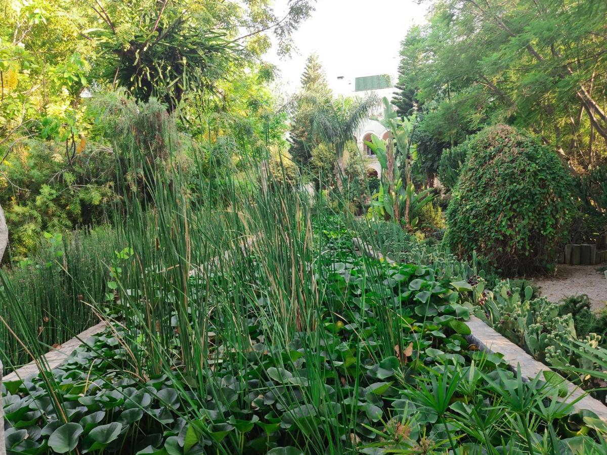 Bed and Breakfast Babil Bahceleri - Gardens Of Babel Лапитос Экстерьер фото
